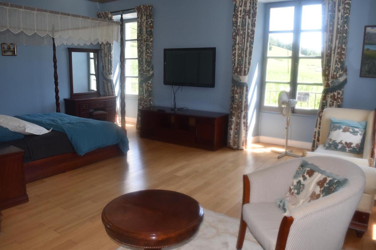 Chateau Roquehort Avec Ev Recharge Point 22Kw Monein ภายนอก รูปภาพ